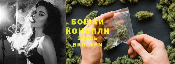 сатива Абдулино