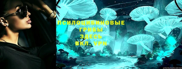 ешки Горно-Алтайск