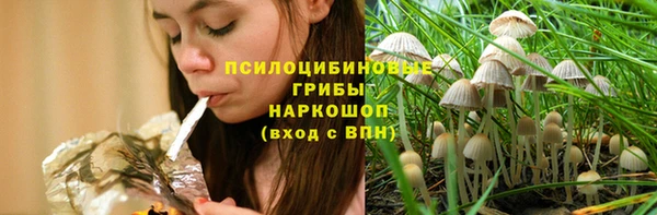 прущие крисы Алексин