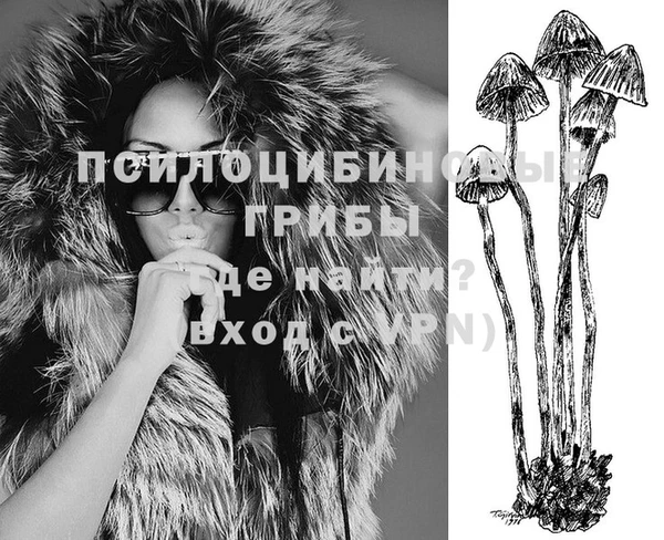 прущие крисы Алексин